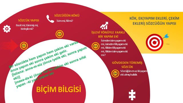 BİÇİM BİLGİSİ