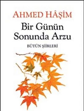 ŞİİR HAKKINDA BAZI MÜLAHAZALAR-AHMET HAŞİM